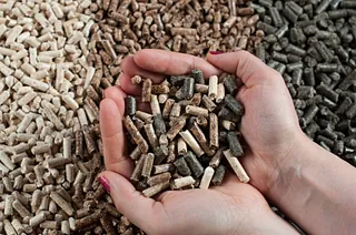 pellets